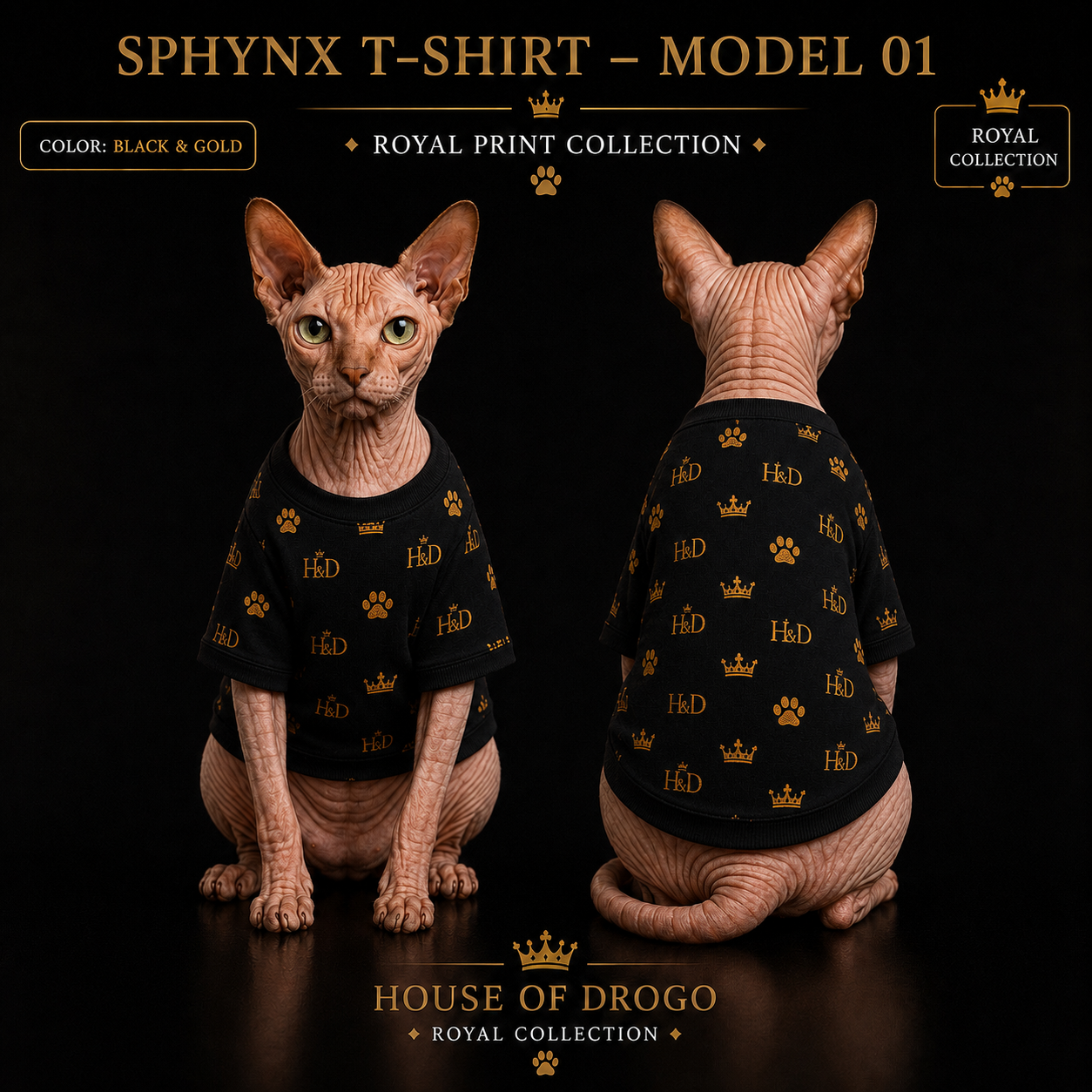 Sphynx T-Shirt – Model 01 | Royal Print Collection